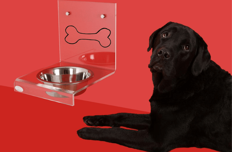 Pet Feeder Apps: Modern Solution for Busy Pet Owners