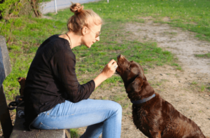Tune into Your Dog’s Thoughts With Dog Translator: Top 7