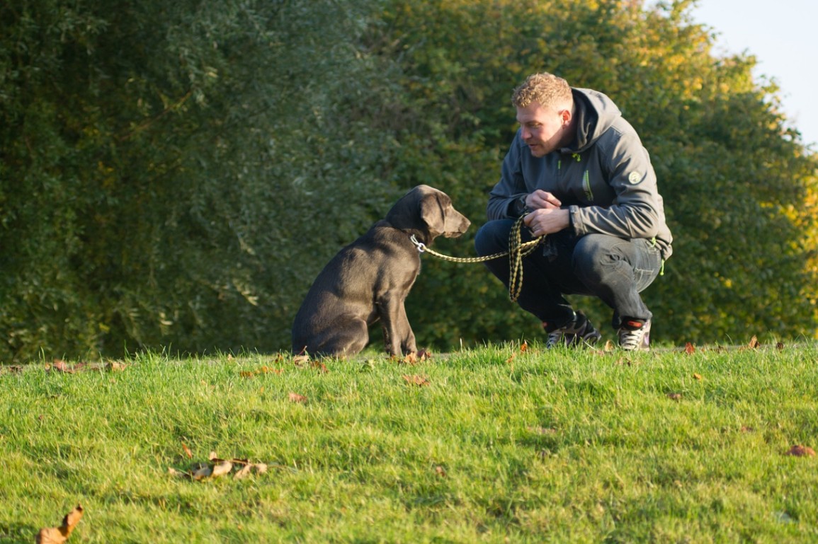 Tune into Your Dog's Thoughts With Dog Translator: Top 7